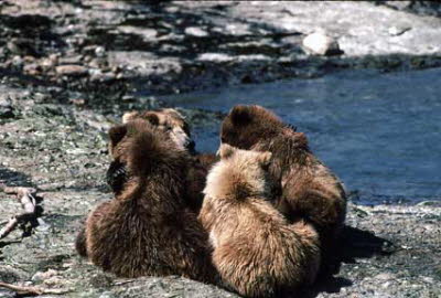 group hug